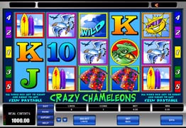 Crazy Chameleons