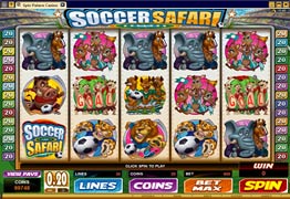 Soccer Safari
